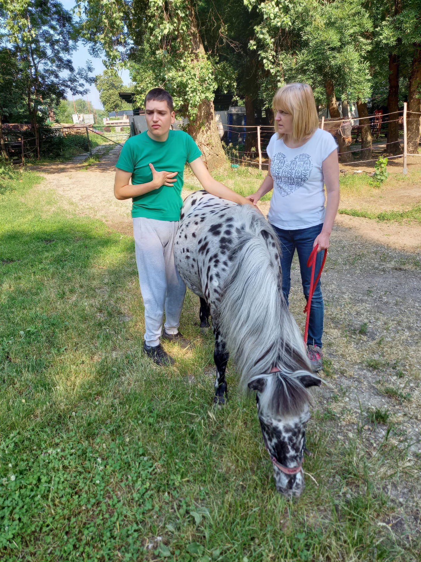 Michal okrem jazdenia aj hladká kone a rád ich šticuje za ich hrivy. 